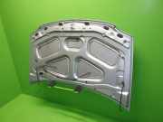 Motorhaube DACIA LOGAN EXPRESS (FS_) 1.4