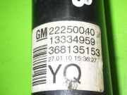 Stoßdämpfer hinten rechts OPEL MERIVA B 1.4 22250040