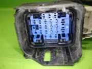 Kabelstrang Kabelbaum Tür hinten links FIAT GRANDE PUNTO (199_) 1.4 00518281450