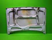 Motorhaube RENAULT RAPID Kasten (F40_, G40_) 1.4 (F407) KAT