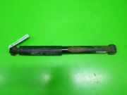 Stoßdämpfer hinten links CITROEN C3 I (FC_) 1.4 i 5206X7