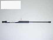 Gasdruckfeder Dämpfer hinten rechts FIAT GRANDE PUNTO (199_) 1.2 0051778432