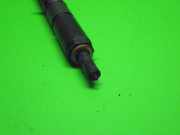 Einspritzdüse Zyl 2 Injektor AUDI (NSU) A4 Cabriolet (8H7, B6) 2.5 TDI 059130201G