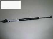 Gasdruckfeder Dämpfer hinten links DAIHATSU APPLAUSE I (A101, A111) 1.6 16V (A101)