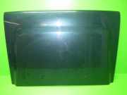 Motorhaube DAIHATSU FEROZA Hard Top (F300) 1.6 i 16V 4x4 53301-87608