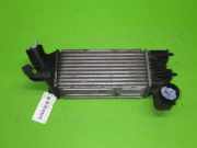 Ladeluftkühler CITROEN C5 I Break (DE_) 2.2 HDi (DE4HXB, DE4HXE) 817437