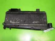 Ladeluftkühler PEUGEOT 306 (7B, N3, N5) 1.9 SRDT