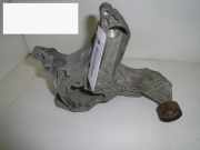 Halter Servopumpe RENAULT MEGANE Scenic (JA0/1_) 1.9 dTi (JA0N)