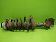 Federbein vorne links FIAT DOBLO (119) 1.3 D Multijet