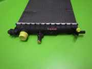 Wasserkühler FORD FIESTA IV (JA_, JB_) 1.25 i 16V 1098807