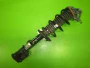 Federbein hinten links JEEP RENEGADE SUV (BU, B1, BV) 1.3 T-GDi 4x4 00520361970