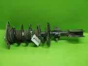 Federbein vorne rechts FIAT Ulysse Bus E-Ulysse (367) 9821596680