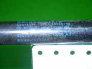 Gasdruckfeder Dämpfer hinten rechts MAZDA 3 Stufenheck (BL) 2.0 MZR DISI BBM4-56930A