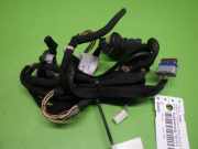 Kabelstrang Kabelbaum Tür hinten links PEUGEOT 3008 1.6 HDi 9672350580