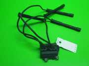 Zündmodul RENAULT CLIO II (BB0/1/2_, CB0/1/2_) 1.2 16V (BB05, BB0W, BB11, BB27 0040100454