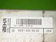 Ladeluftkühler MERCEDES-BENZ M-KLASSE (W164) ML 280 CDI 4-matic (164.120) A2515000000