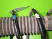 Federbein hinten rechts MAZDA 323 C V (BA) 1.5 16V