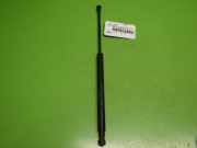 Gasdruckfeder Dämpfer hinten rechts FIAT GRANDE PUNTO (199_) 1.4