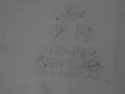 Scheibenwischbehälter Wischwasserbehälter FORD PUMA (J2K, CF7) 1.0 EcoBoost L1TB17B613AD