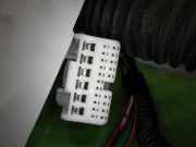 Kabelstrang Kabelbaum Tür vorne rechts LEXUS GS (GRS19_, UZS19_, GWS19_) 300