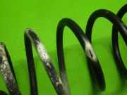 Feder hinten links VW POLO (6N1) 75 1.6 6N0511115C