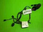 Kabelstrang Kabelbaum T?r rechts MERCEDES-BENZ SPRINTER 3-t Kasten (906) 213 CDI (906.611, 906.613) A9060005999