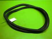 Türgummi Türdichtung hinten links AUDI (NSU) A6 Avant (4F5, C6) 3.0 TDI quattro