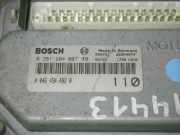 Motorsteuergerät FIAT BRAVO I (182_) 1.4 (182.AG) 0261204007