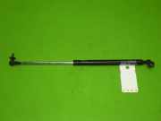 Gasdruckfeder Dämpfer vorne links TOYOTA LAND CRUISER (KDJ12_, GRJ12_) 3.0 D-4D (KDJ120, KDJ125) 5345069065