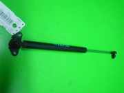 Gasdruckfeder Dämpfer hinten links HONDA JAZZ III (GE_, GG_, GP_) 1.3 i 04746TF0010