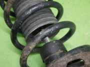 Federbein hinten links AUDI (NSU) A4 Avant (8D5, B5) 1.9 TDI 343302