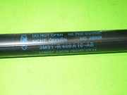 Gasdruckfeder Dämpfer hinten rechts FORD C-MAX (DM2) 1.6 1683725