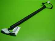 Gasdruckfeder Dämpfer hinten links ALFA ROMEO STELVIO (949_) 2.0 Q4