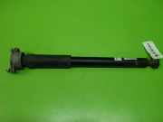 Stoßdämpfer hinten rechts MERCEDES-BENZ C-KLASSE Coupe (C204) C 250 (204.347) 317266