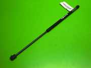Gasdruckfeder Dämpfer hinten rechts NISSAN (DATSUN) ALMERA II Hatchback (N16) 1.5 90450BM425