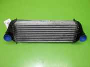 Ladeluftkühler FORD TRANSIT CONNECT (P65_, P70_, P80_) 1.8 Di 7T169L440A