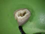 Fensterheber Tür rechts MAZDA MX-5 II (NB) 1.6 16V