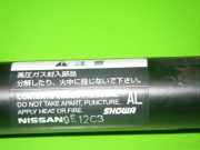 Gasdruckfeder Dämpfer hinten links NISSAN (DATSUN) TIIDA Schrägheck (C11X) 1.6 90451EL00A