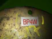 Kraftstoffpumpe MAZDA MX-5 II (NB) 1.6 16V BP4W