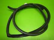 Türgummi Türdichtung hinten rechts MAZDA 3 (BK) 2.0