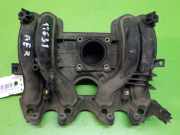 Ansaugkrümmer VW POLO (6N1) 50 1.0 0280620003