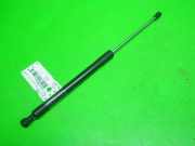 Gasdruckfeder Dämpfer hinten links RENAULT CLIO III (BR0/1, CR0/1) 1.2 16V (BR02, BR0J, BR11, CR02, CR0 8200299546