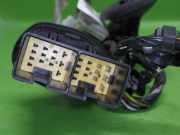 Kabelstrang Kabelbaum Tür hinten links FORD FOCUS II Kombi (DA_) 1.8 3M5T14240BKA