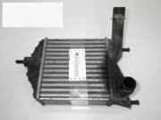 Ladeluftkühler FIAT IDEA 1.3 JTD