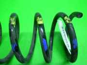 Feder hinten rechts FIAT PUNTO (176_) 55 1.1