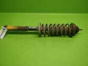 Federbein hinten links VW JETTA II (19E, 1G2, 165) 1.8