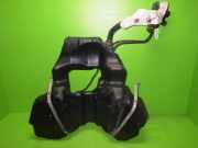 Kraftstoffbehälter Tank AUDI (NSU) A4 (8EC, B7) 3.0 TDI quattro 8E0201022AL