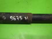 Stoßdämpfer hinten rechts NISSAN (DATSUN) SUNNY III Traveller (Y10) 1.6 i