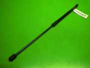 Gasdruckfeder Dämpfer hinten links OPEL CORSA E (X15) 1.4 39089134