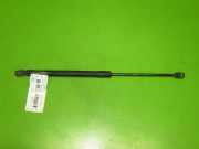 Gasdruckfeder Dämpfer hinten links VW GOLF PLUS (5M1, 521) 1.9 TDI 5M0827550A